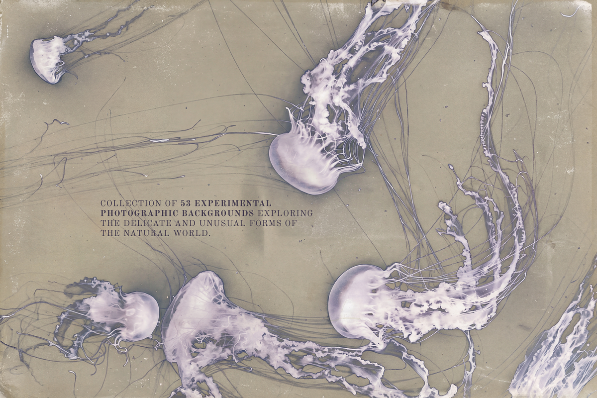 Ethereal Nature Archive Backgrounds, a Background Graphic by Natali Batu (Photo 2 of 9)