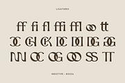 Mackora - Elegant Display Serif Font, a Serif Font by Indotype Foundry (Thumbnail 5 of 10)