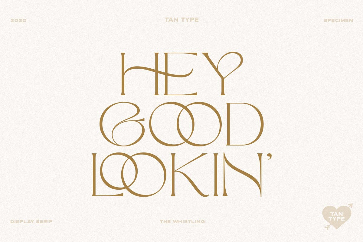 TAN - The Whistling, a Serif Font by TanType (Photo 29 of 35)