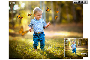 Butterflies Photo Overlays