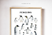 Watercolor penguins. Winter animals, an Animal Illustration by Diana Askarova Art (Thumbnail 4 of 6)