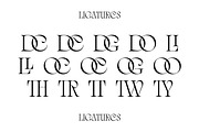 Quelia - Organic Display Font, a Serif Font by Piotr Łapa (Thumbnail 11 of 12)
