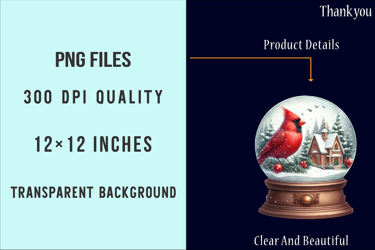 Christmas Red Cardinal Clipart, an Illustration by SinaCreation (Photo 6 of 7)