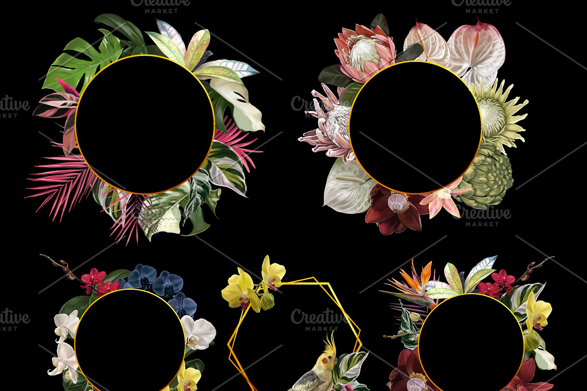 Tropical life. 100+ Parrot & flower, an Illustration by NNclipart (Photo 12 of 14)