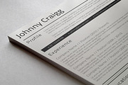 Professional Resume, a Resume Template by Visual Impact (Thumbnail 1 of 3)