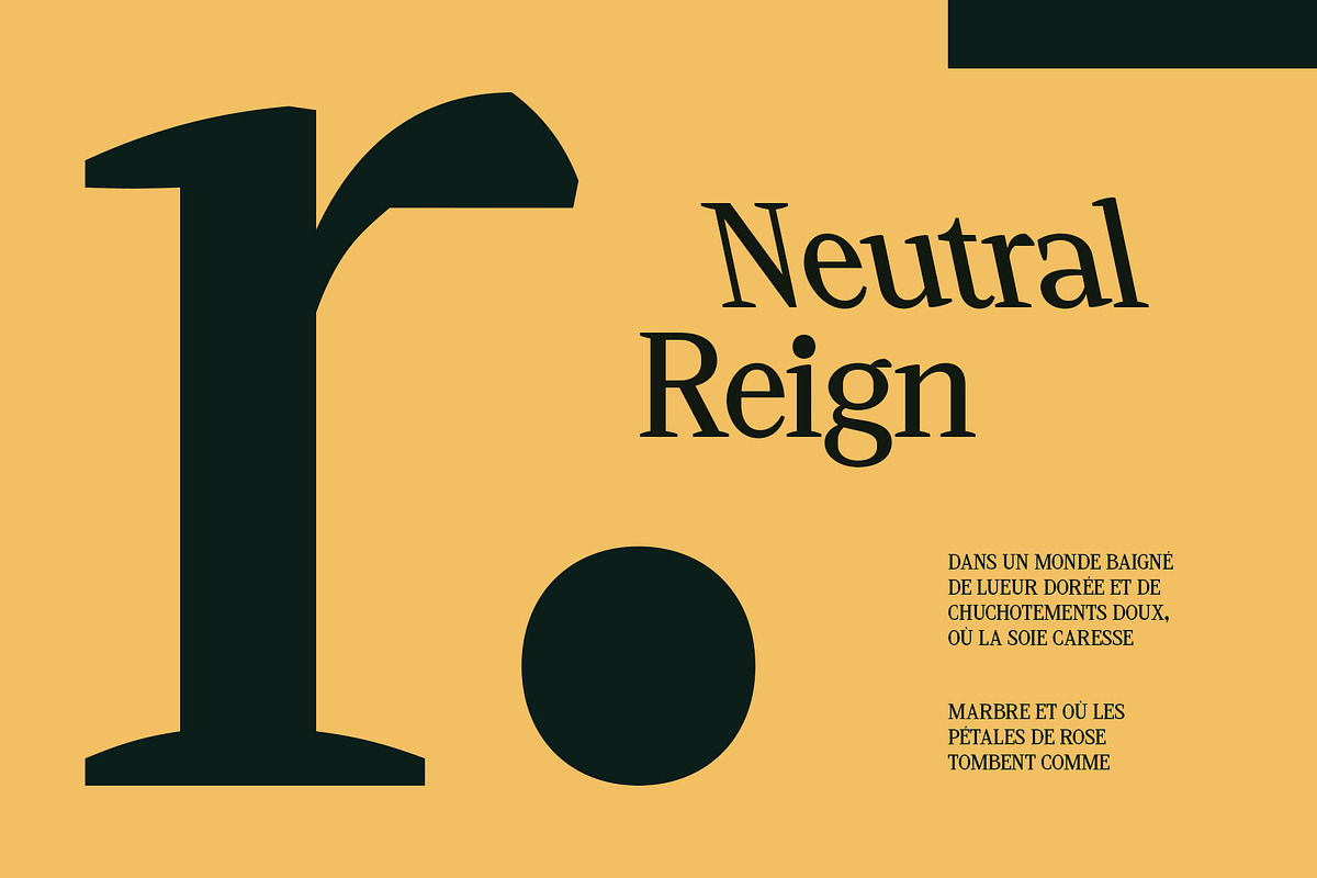 CS Vincero – Contemporary Font, a Serif Font by Craft Supply Co. (Photo 3 of 8)