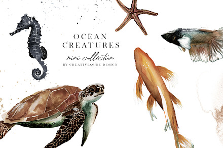 Ocean Creatures mini Collection