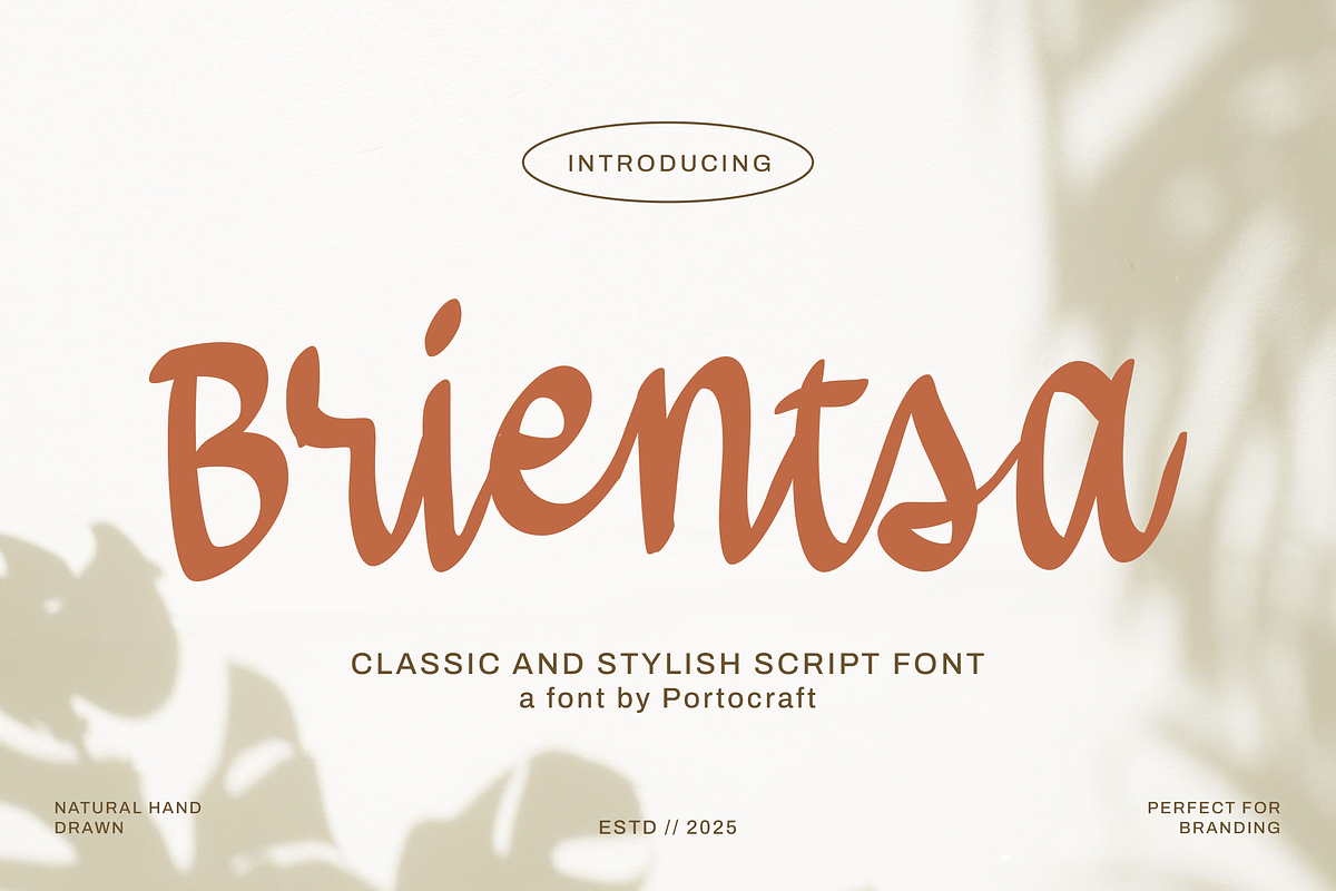 Brientsa Classic Script, a Handwritten Font by Portocraft (Photo 1 of 10)
