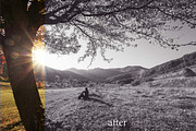 10 Matte B & W Landscape Drama, a Preset Add-On by Timeless Presets (Thumbnail 3 of 17)