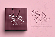 Floralina - Modern Cursive Script, a Script Font by Pixesia Studio (Thumbnail 10 of 12)