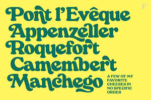 Manchego Retro Serif