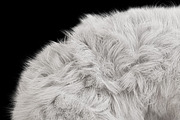 Yeti Font, a Font by Handmadefont (Thumbnail 6 of 10)