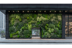 A sustainable home environment often, a Nature Photo by ZinetroN