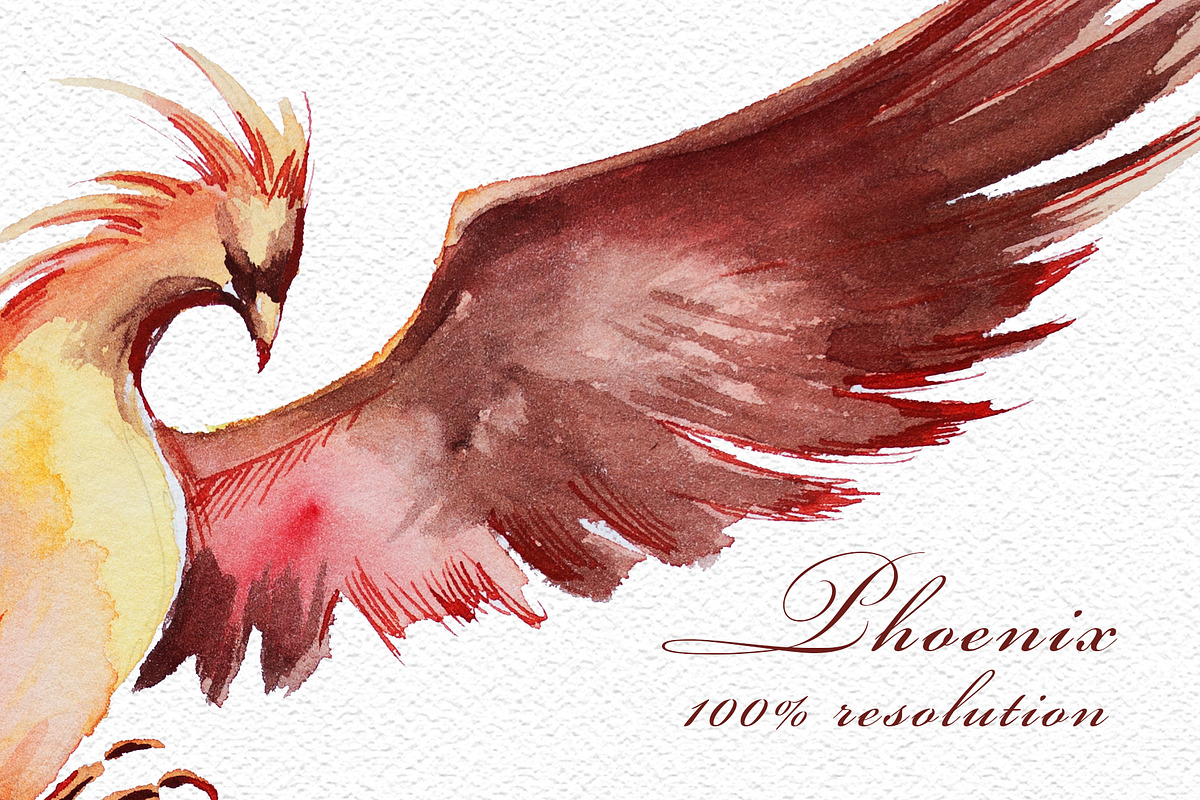 Watercolor Phoenix Clipart Set, an Animal Illustration by ArtCreationsDesign (Photo 4 of 6)