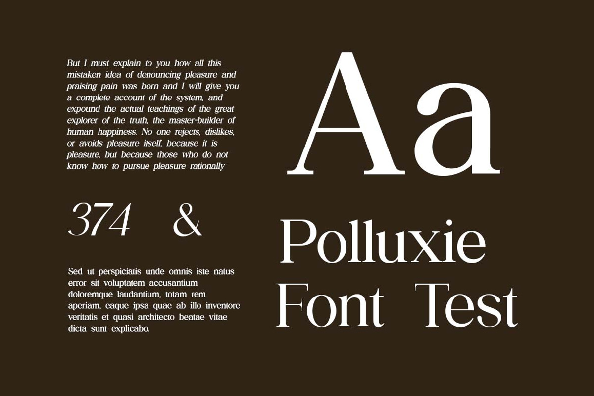 The Regalique Sans Serif Family Font, a Serif Font by UICreative (Photo 4 of 13)