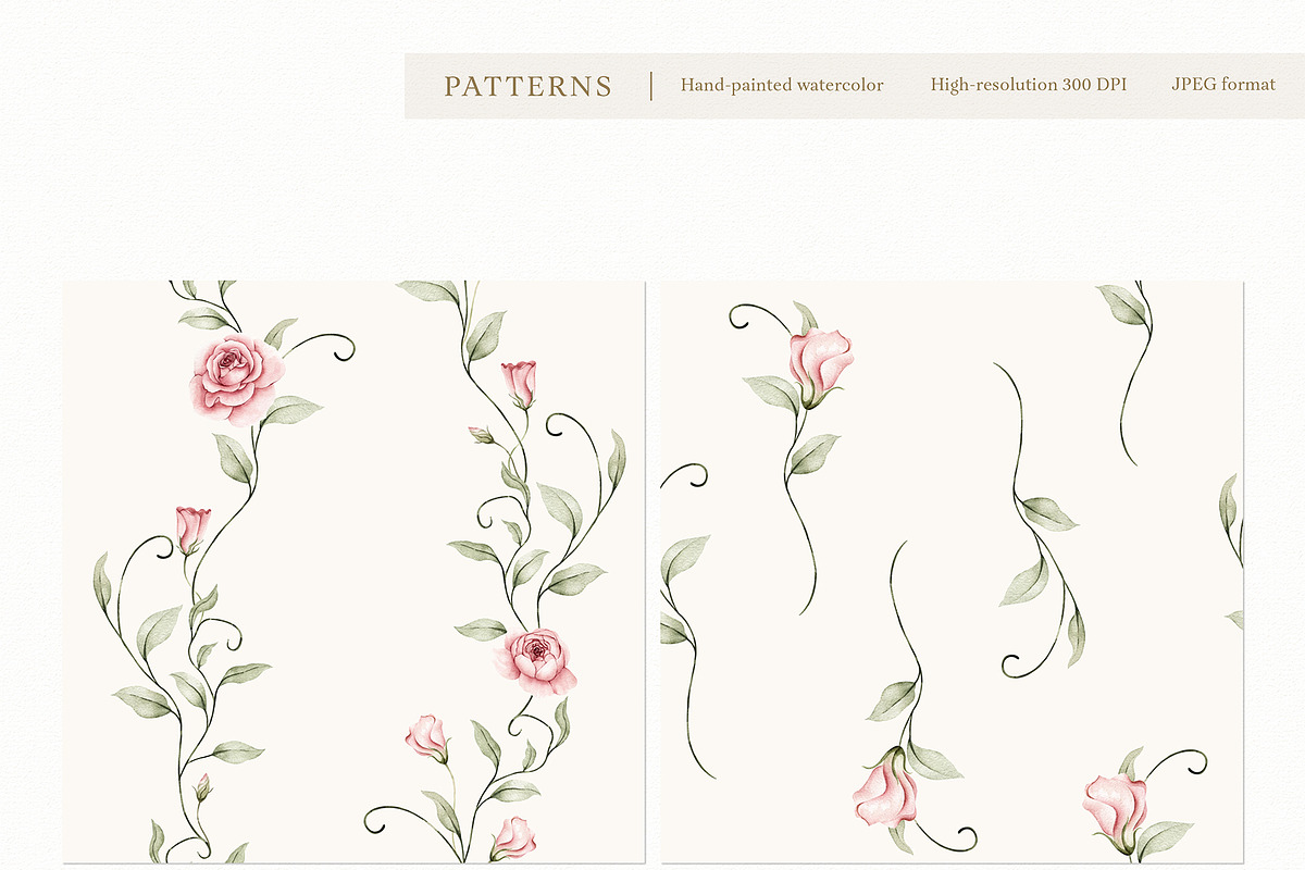 Watercolor Blush Roses Floral Set, a Decorative Illustration by Carol Lozove (Photo 35 of 50)