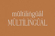 Palmorine | A Modern Serif Typeface, a Serif Font by Typoraith Co (Thumbnail 9 of 10)