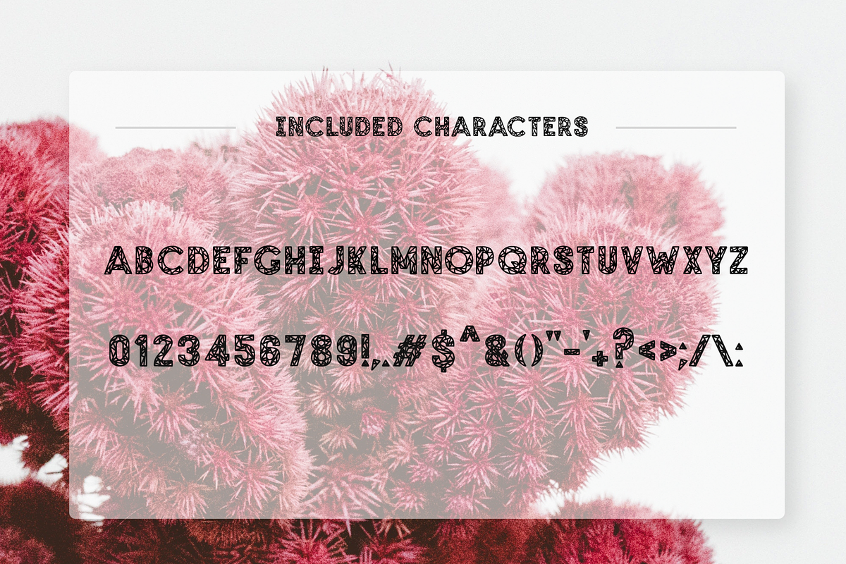 SHEER SANS Hand Drawn Typeface preview 3