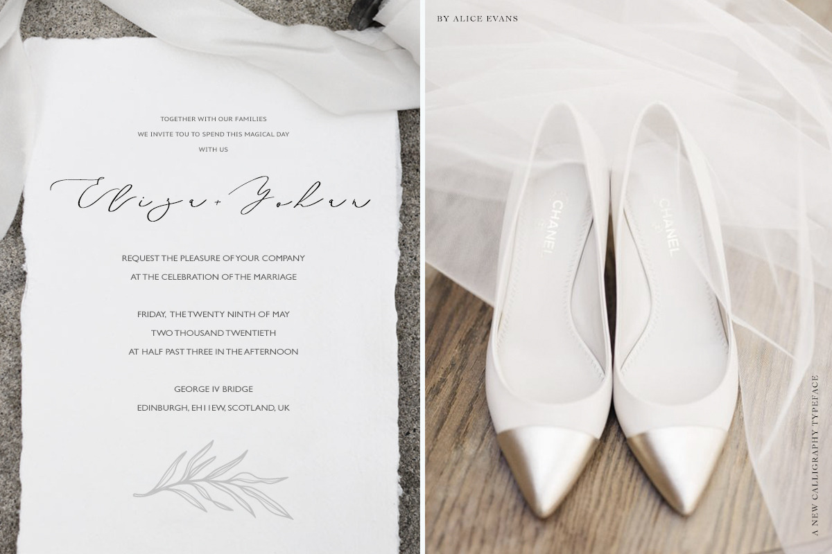 Aileen Miln Calligraphy typeface, a Script Font by Alice_Evans (Photo 4 of 12)
