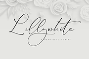 Lillywhite A Beautiful Script Font, a Script Font by Storytype Studio (Thumbnail 1 of 15)