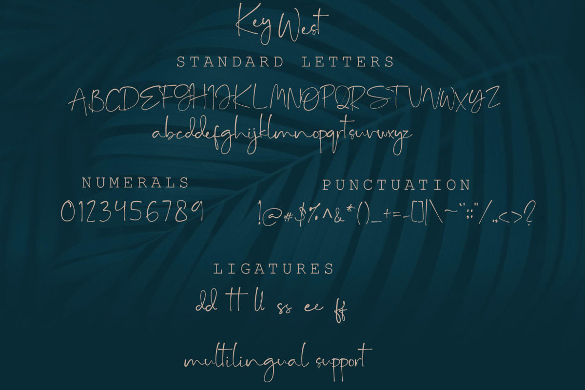 The Playful Font Bundle, a Script Font by Digital Hustler (Photo 19 of 37)