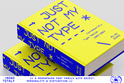 Mono Total–Monospaced Font Family, a Sans Serif Font by More Etc. Studios (Thumbnail 7 of 15)