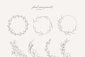 Hand Drawn Botanical Logo & Branding