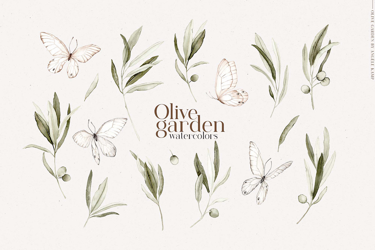 Olive garden watercolors clipart, an Object Graphic by Angele Kamp (Photo 6 of 9)