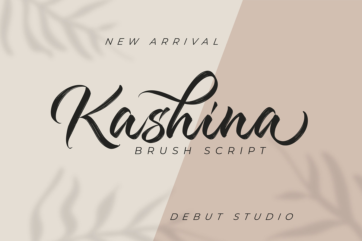Kashina Brush Script, a Script Font by Debut Studio (Photo 1 of 9)