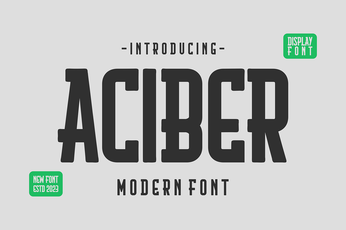 Aciber - Slab Serif Font, a Slab Serif Font by lelevien