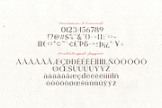 Blushing Rose - Stylish Modern Serif, a Serif Font by Sarid Ezra (Thumbnail 10 of 13)