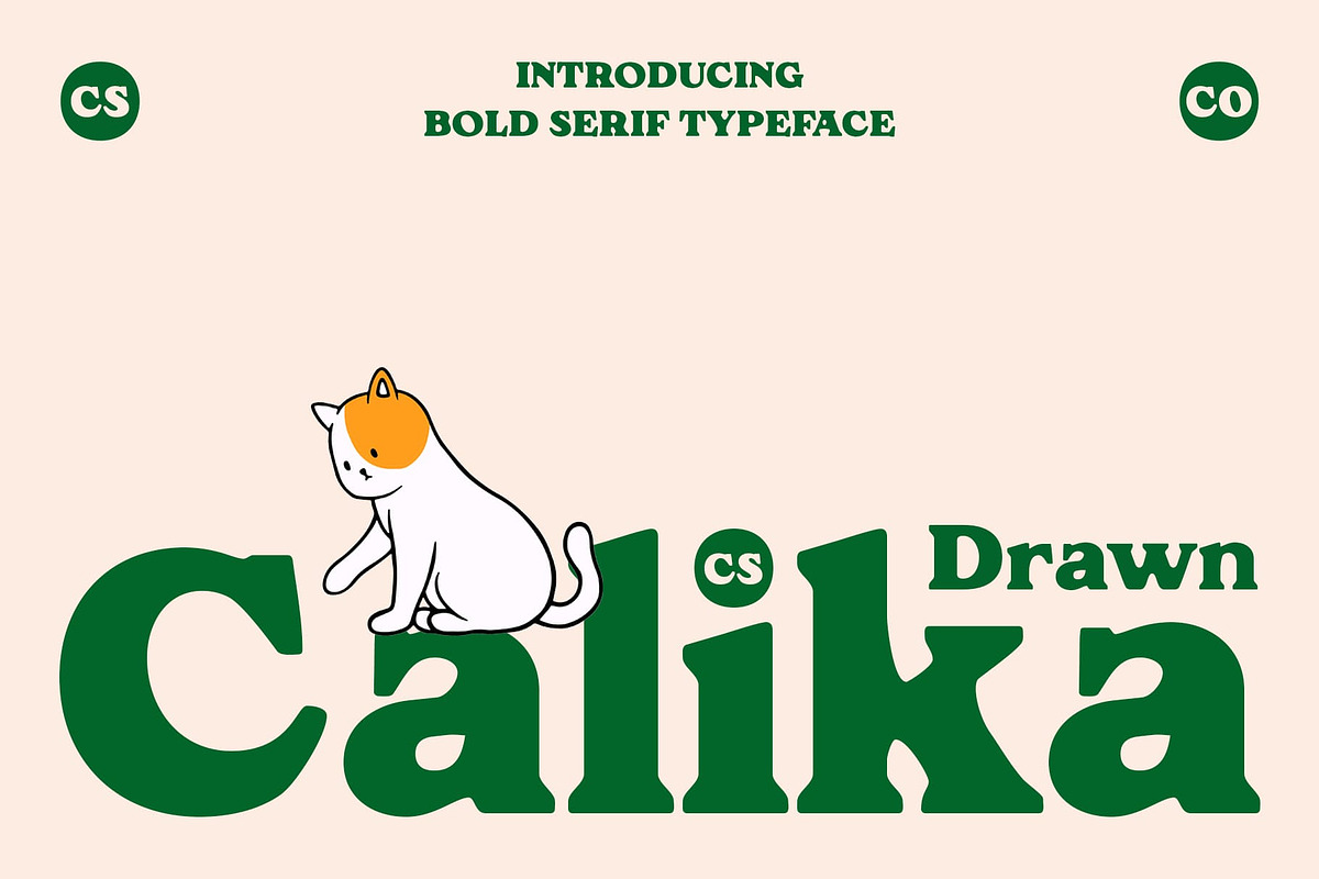 CS Calika Drawn, a Serif Font by Craft Supply Co. (Photo 1 of 8)