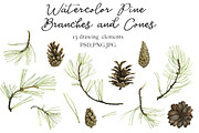 Watercolor Pine Branches and Cones, a Decorative Illustration by cat_arch_angel (Thumbnail 2 of 5)