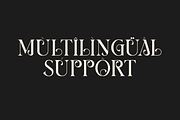 Berang Berang Serif Display Font, a Serif Font by Maryamtype Studio (Thumbnail 11 of 15)