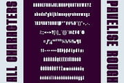 Pavelise Rough, a Sans Serif Font by Craft Supply Co. (Thumbnail 8 of 8)