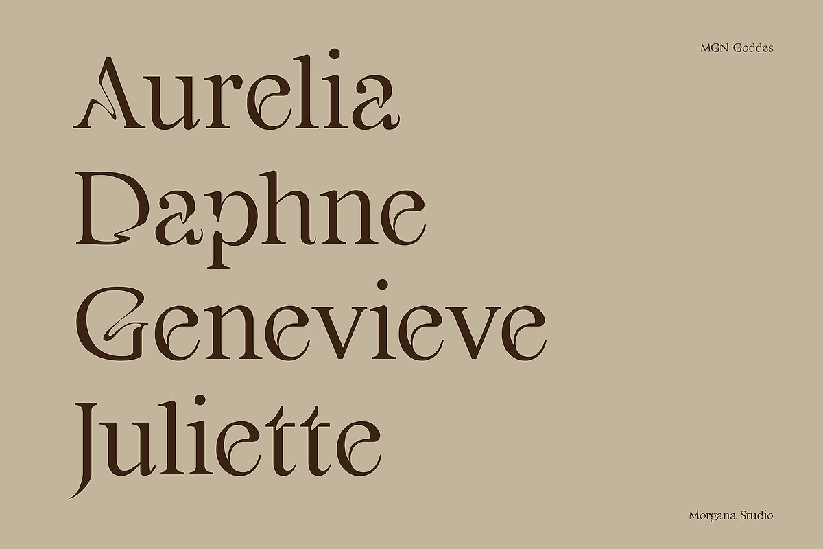 MGN Goddes, a Serif Font by Morgana Studio (Photo 2 of 6)
