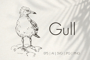 Sea gull. Hand-drawn sketch