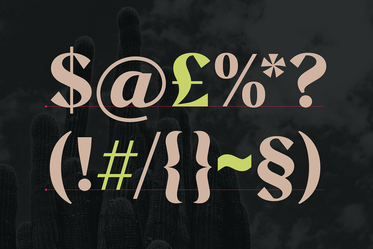 Aeda Rift, a Serif Font by ZP Fonts™ (Photo 7 of 12)