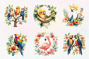 Tropical Bird Png, Jungle Bird Clipa, an Illustration by CreationArt (Thumbnail 7 of 9)