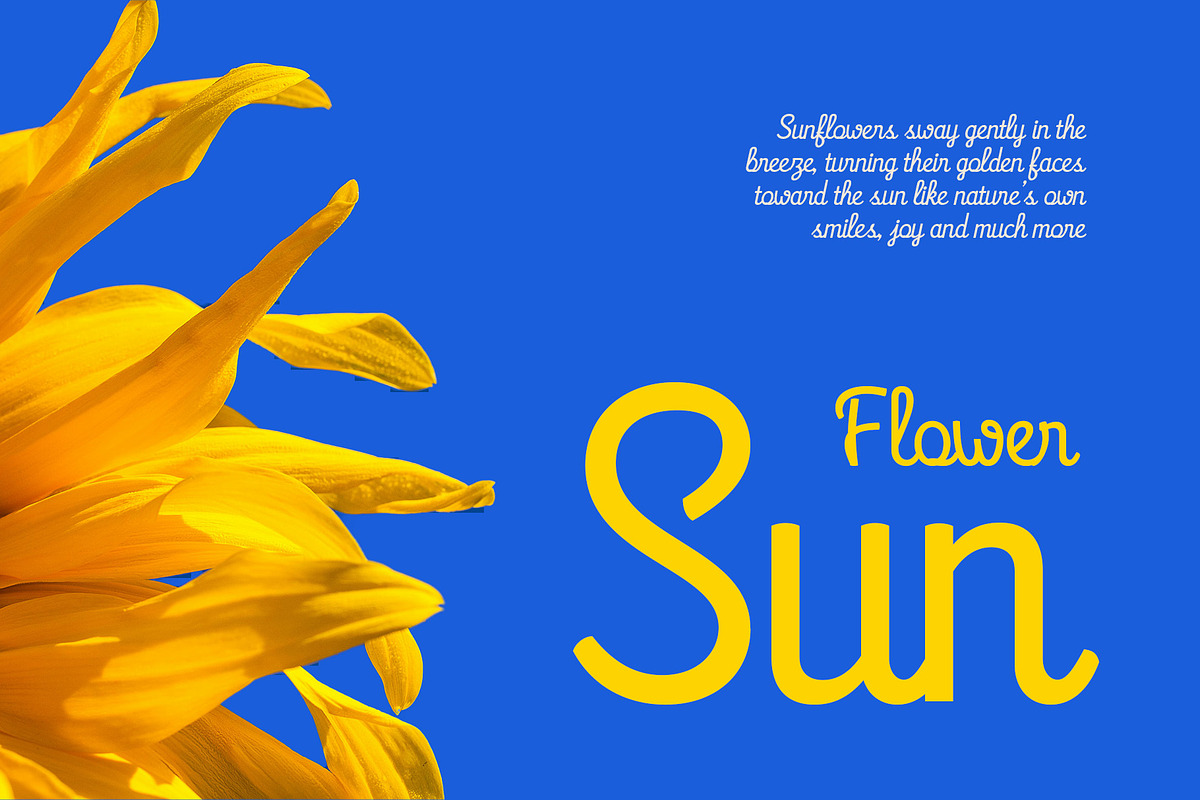CS Brenda – Script Font, a Script Font by Craft Supply Co. (Photo 3 of 8)