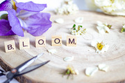 Purple Iris Styled Stock Collection, a Photo by Chalking Up Stock (Thumbnail 12 of 19)