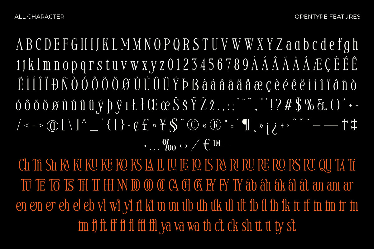 Voracity - Serif Display Font, a Serif Font by Brainwaves.Studio (Photo 5 of 9)
