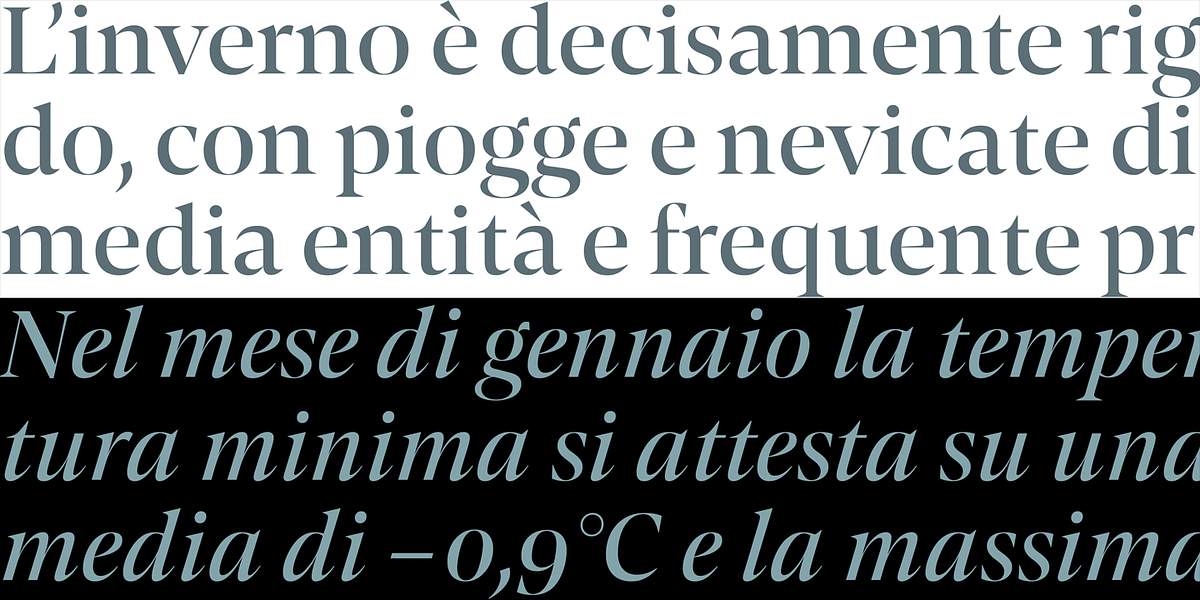 Contane, a Serif Font by Hoftype (Photo 10 of 15)