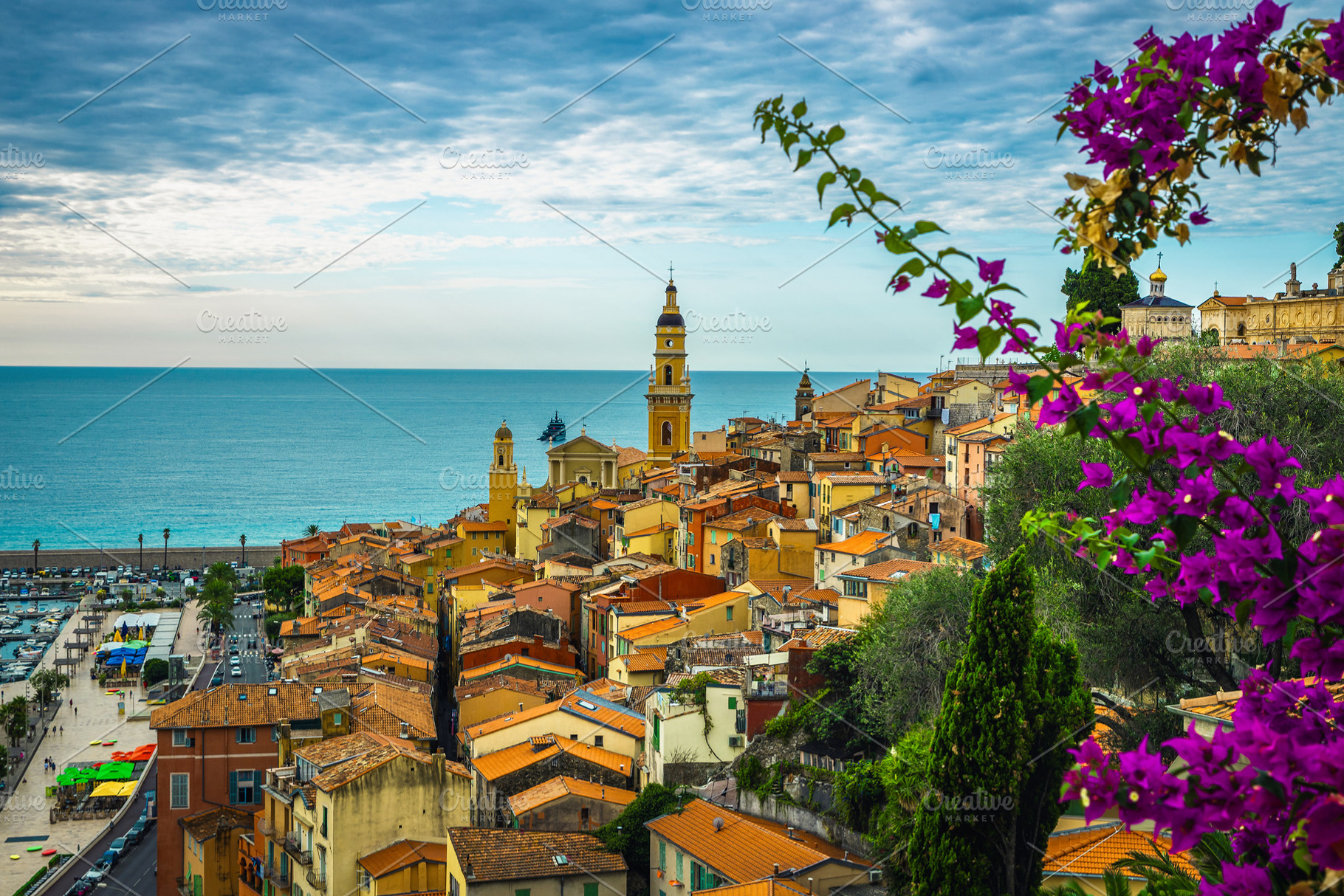 Cityscape and blooming bougainvillea, an Architecture Photo by Alpine Dreams