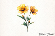 Coreopsis Flower Watercolor Clipart, an Illustration by Watercolor design (Thumbnail 10 of 10)