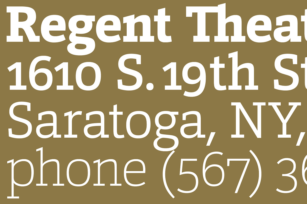 Calanda, a Slab Serif Font by Hoftype (Photo 26 of 26)