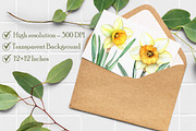 Watercolor Daffodils Clipart, an Illustration by Libby Wishes (Thumbnail 7 of 7)