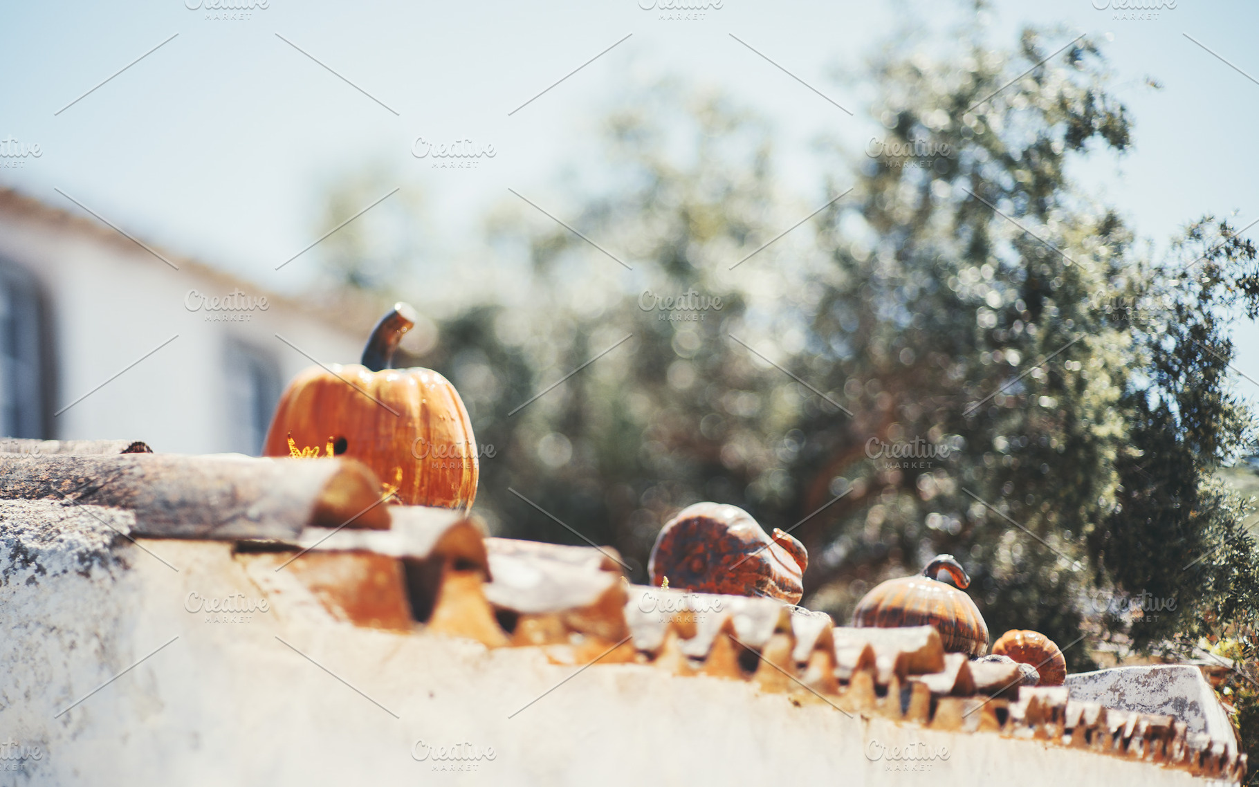 Tilt-shift ceramic pumpkins on roof, a Holiday Photo by SkyNext