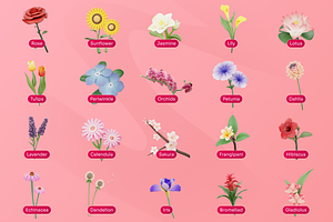 Flowy - Flowers 3D Icon Set