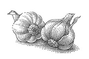 Garlic set engravings #2, a Food Illustration by Irina Trusova (Thumbnail 3 of 6)
